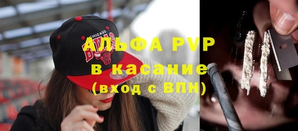 ПСИЛОЦИБИНОВЫЕ ГРИБЫ Богданович