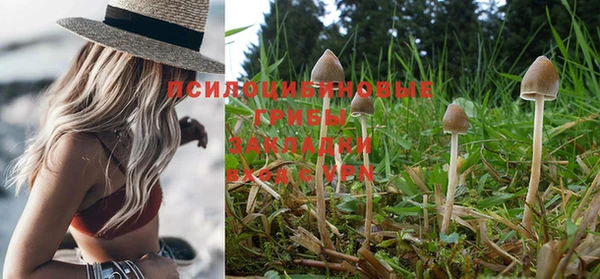 прущий лед Беломорск