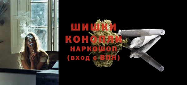 ПСИЛОЦИБИНОВЫЕ ГРИБЫ Богданович