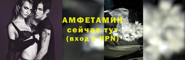 ПСИЛОЦИБИНОВЫЕ ГРИБЫ Богданович