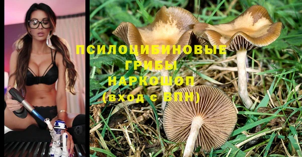 MDMA Premium VHQ Богородск