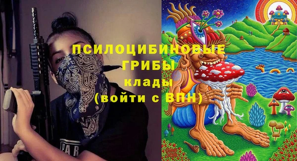 гашишное масло Богородицк