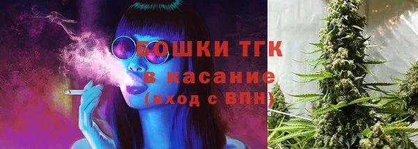 ПСИЛОЦИБИНОВЫЕ ГРИБЫ Богданович